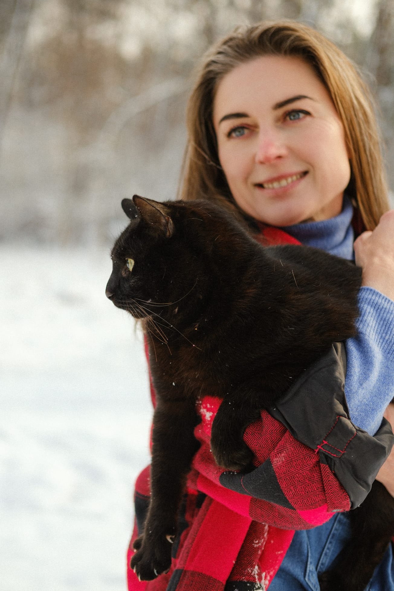 Free downloadable: where to start